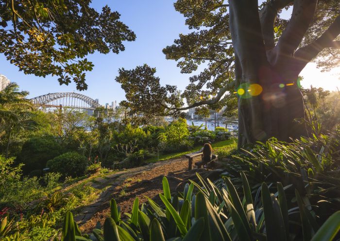 Woman enjoying the serenity in Wendy Whiteley's Secret Garden in Lavender Bay