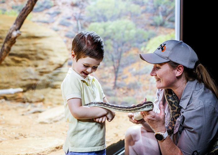 Young boy enjoying a snake encounter at Sydney Zoo, Bungarribee in Western Sydney