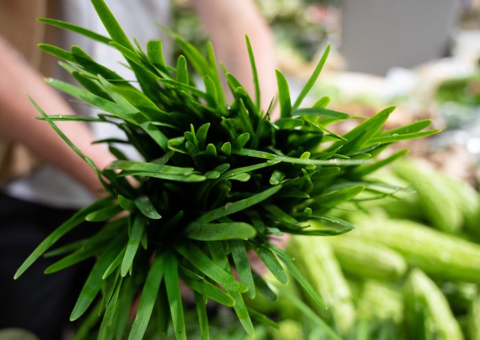 Greens at Paddys Markets in Haymarket and Chinatown, Sydney