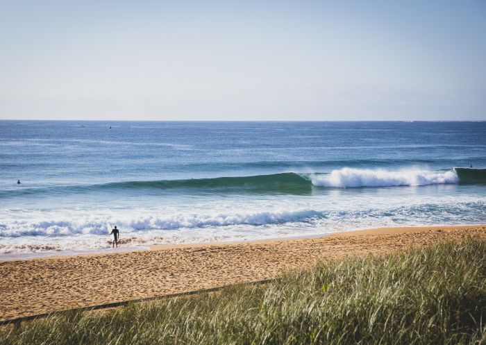 Surfer's arriving early to catch a wave at North Narrabeen Beach, North Narrabeen