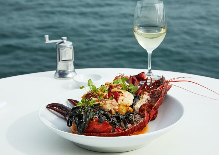 Lobster with house made squid ink spaghetti at Catalina Rose Bay, Sydney East