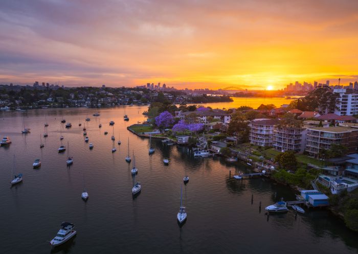 Jacarandas along the Parramatta River, Gladesville with views towards Sydney Harbour Bridge 