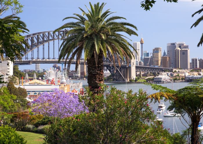 Views of jacaranda trees surrounding Sydney Harbour and Luna Park from Lavendar bay