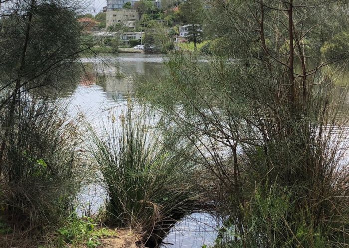 Manly Lagoon, Manly - Credit: Northern Beaches Council Manly Lagoon, Manly, Sydney North