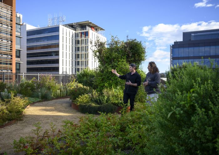 South Eveleigh Community Rooftop Garden, Eveleigh