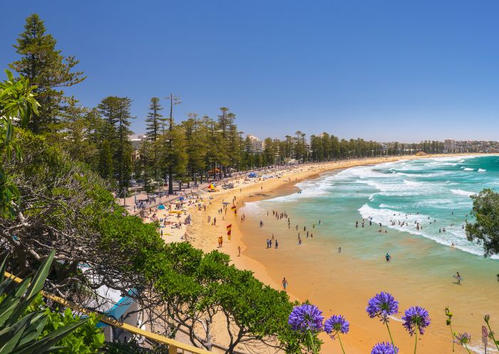 Manly Beach on a sunny day with surfers in the water and Norfolk Island Pines lining the promenade