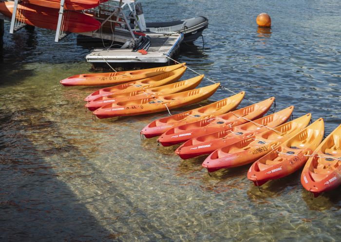 Kayaks lined up on the shoreline near Manly Kayak Centre, Manly