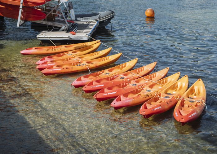 Kayaks lined up on the shoreline near Manly Kayak Centre, Manly