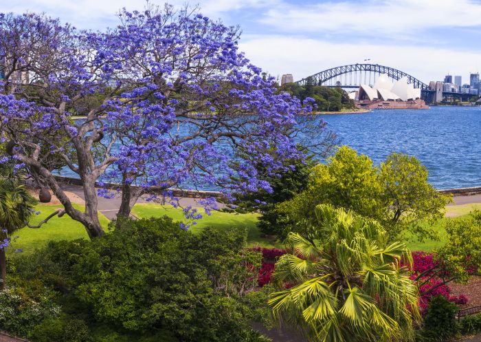 The Royal Botanic Garden Sydney