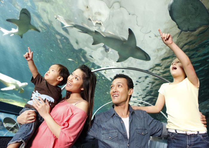 Family at Sea Life Sydney Aquarium at Darling Harbour