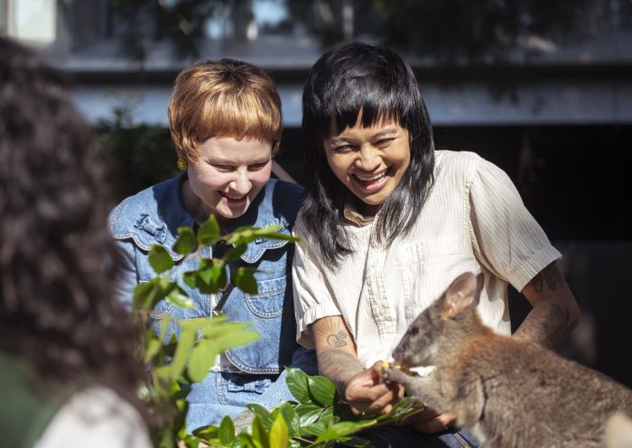 Keeper running an animal encounter experience for guests at Taronga Zoo Sydney, Mosman