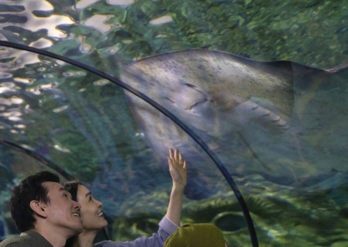 SEA LIFE Sydney Aquarium, Darling Harbour SEA LIFE Sydney Aquarium