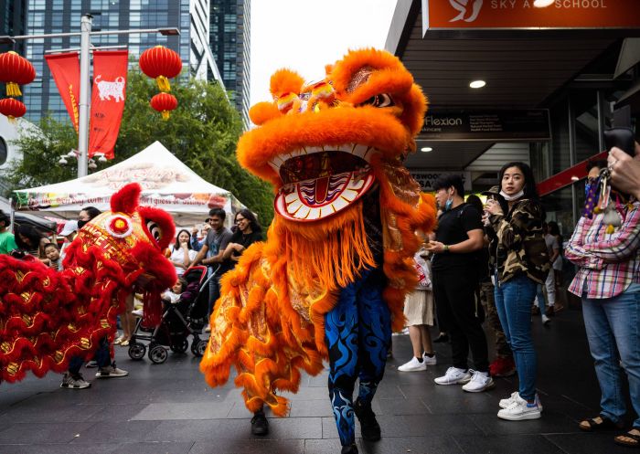 Lion dance at Chatswood Year of the Tiger Festival in Chatswood, Sydney North