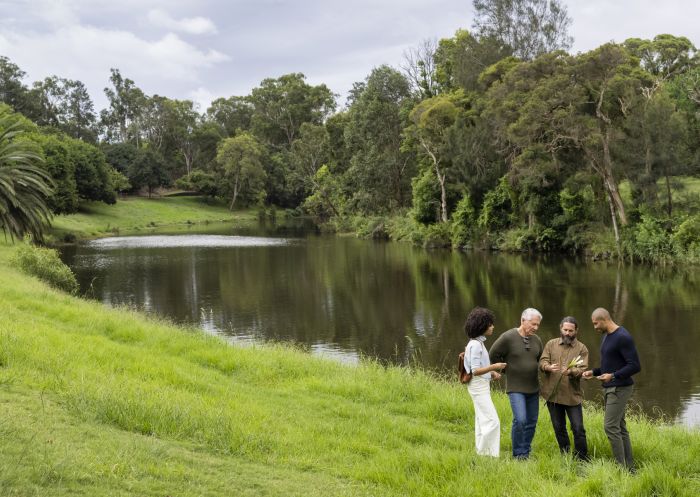 Visitors learning from traditional custodians about connections to the land on the Warami Mittigar - Aboriginal Cultural Walk in Parramatta Park, Parramatta