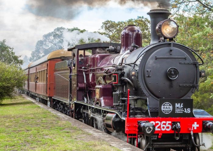 Thirlmere Festival of Steam - Credit: Delta Charlie Images, Wollondilly Shire Council