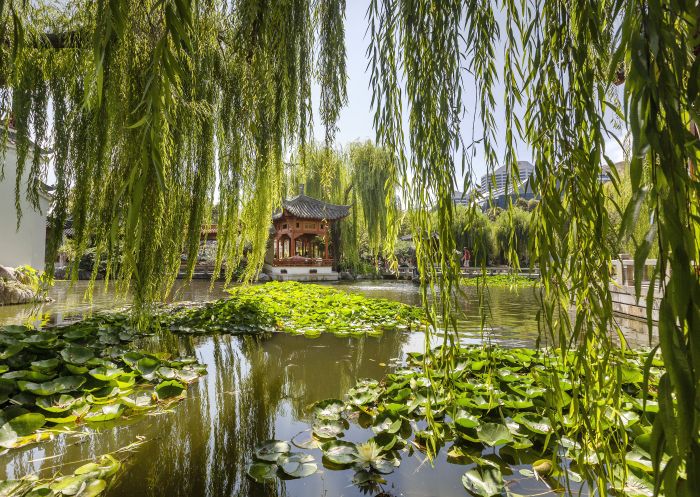 Chinese Garden of Friendship in Darling Harbour, Sydney City