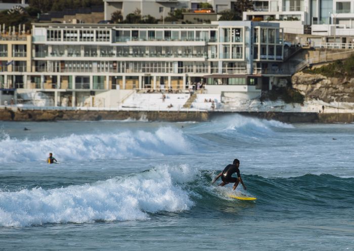 Surfer catching a morning wave at Bondi Beach, Sydney East