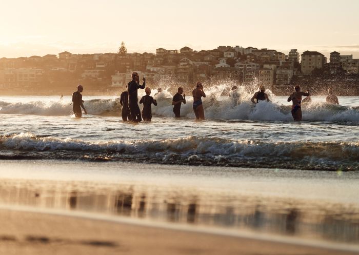 Swimmers heading out into the ocean from Bondi Beach, Sydney East