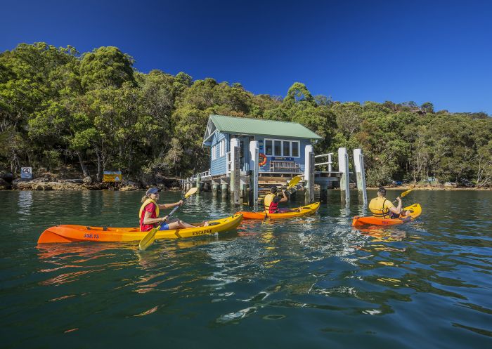 Friends kayaking on Pittwater by Bennetts Wharf, Coasters Retreat
