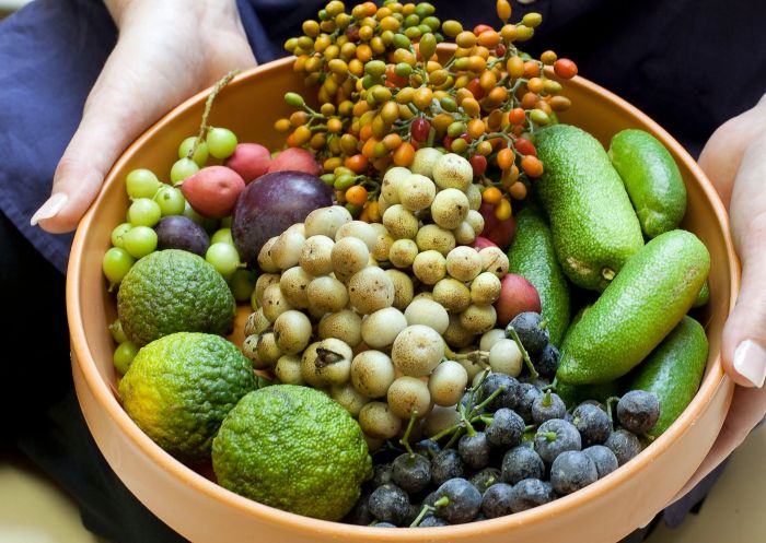 Aboriginal Bush Tucker Lunch experience at The Royal Botanic Garden, Sydney City