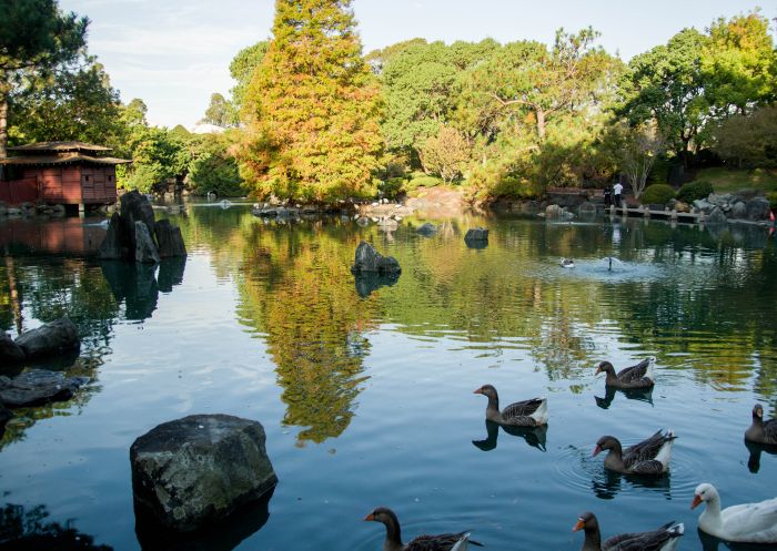 Auburn Botanic Gardens at Auburn, Sydney West