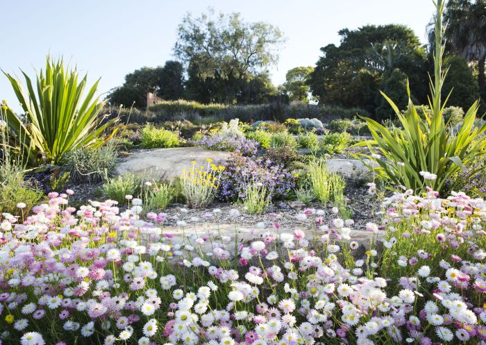 The Australian Botanic Garden Mount Annan in Camden, Sydney West