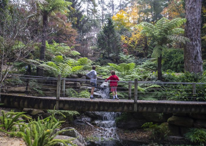 Children enjoying a visit to Wildwood Garden, Bilpin