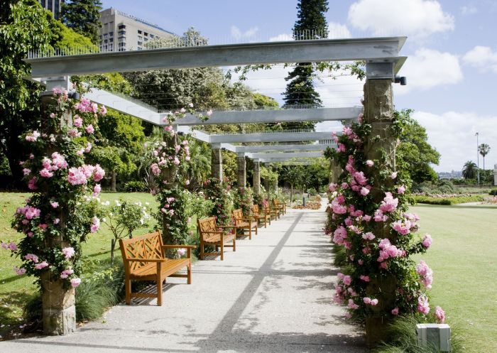 Accessible pathway seats at the Royal Botanic Garden