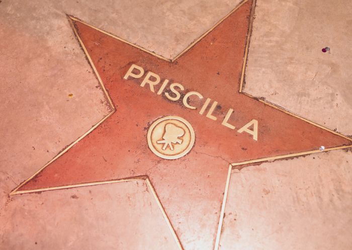Priscilla hall of fame star at the Imperial Hotel, Erskineville in Sydney's inner west