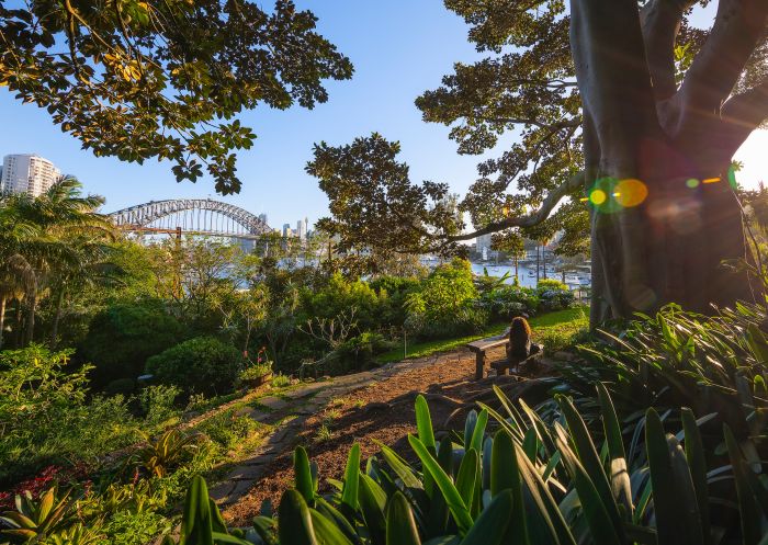 Wendy Whiteley's Secret Garden in Lavender Bay, Sydney