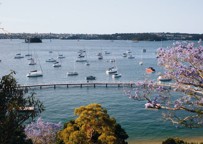 Harbour views from Murray Rose Pool, Double Bay