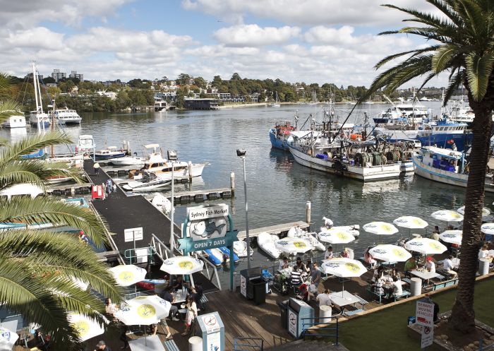 Aerial view of Sydney Fish Market, Pyrmont