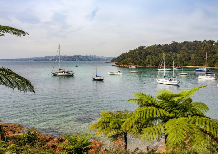 Scenic views of Bradleys Head to Chowder Bay Walk, Mosman