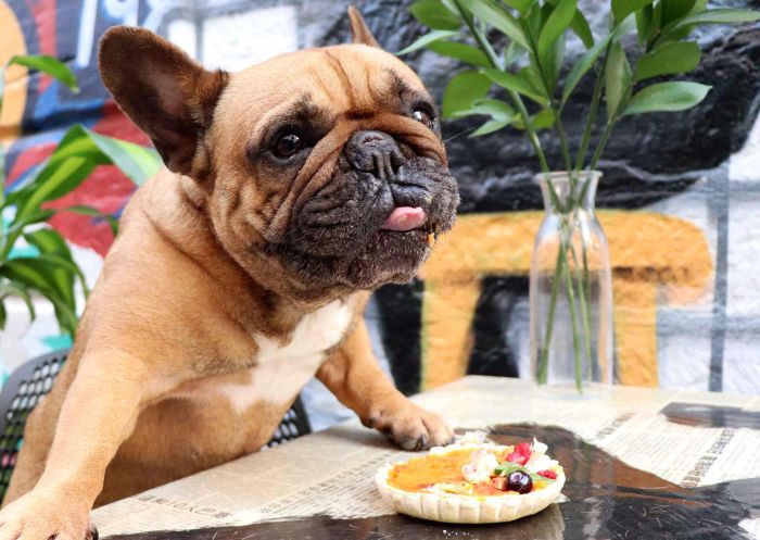 Honkas Bar & Eats, Potts Point - Credit: Honkas Bar & Eats Dog treats at Honkas Bar & Eats, Potts Point