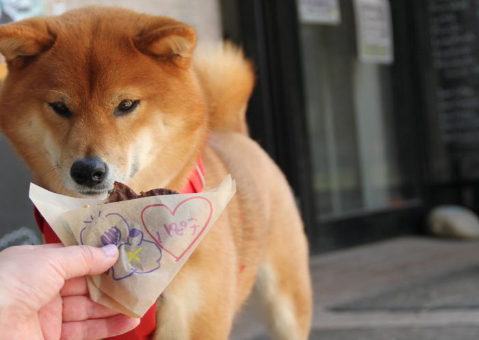 Puppy Tail Cafe at Blackman Park, Lane Cove