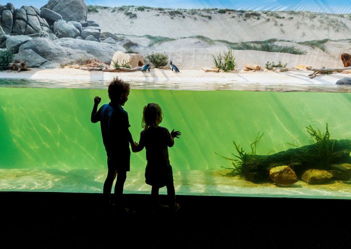Children enjoying the little penguin aquarium exhibit at Sydney Zoo, Bungarribee