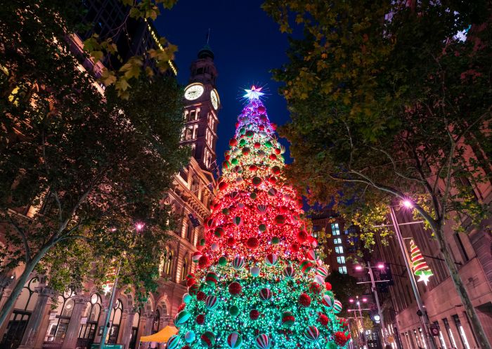 Martin Place Christmas tree illuminated by lights, Martin Place