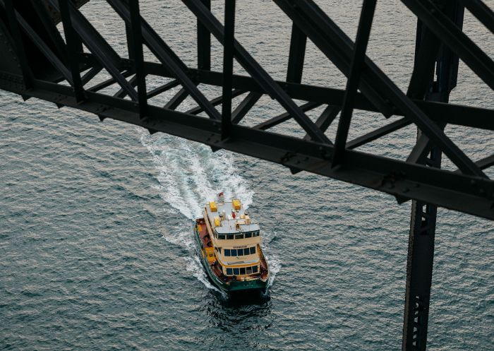 Friendship Ferry cruising under Sydney Harbour Bridge, Sydney Harbour