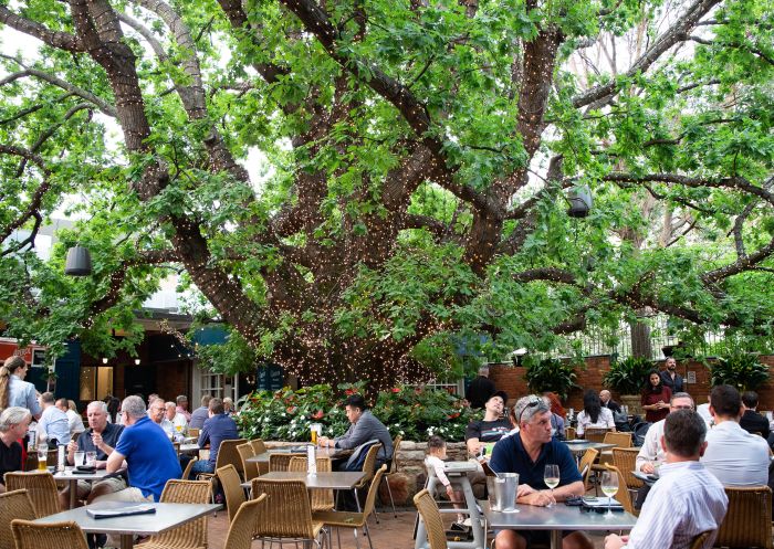 Beer garden at The Oaks, Mosman
