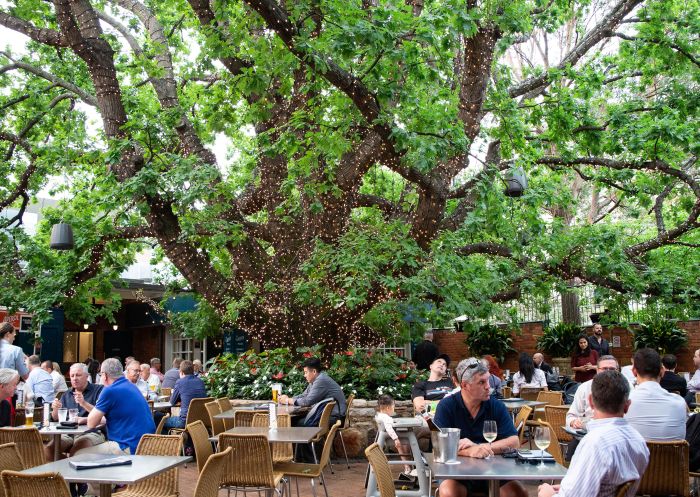 Beer garden at The Oaks, Mosman