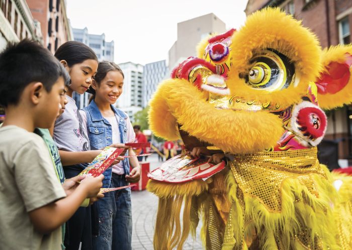 Lunar New Year Celebrations