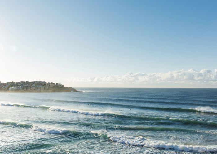 Surfing at Bondi Beach