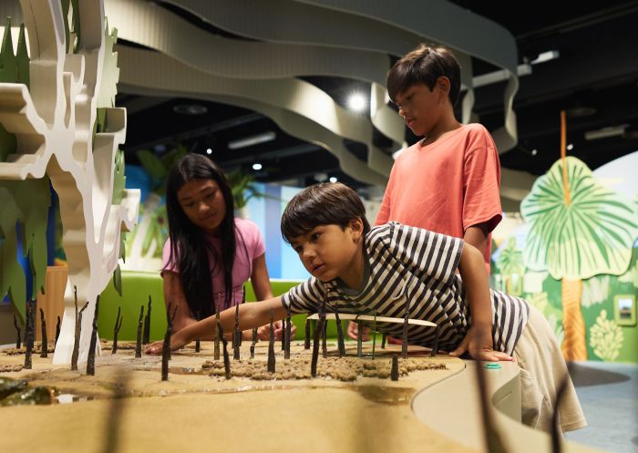 Children enjoying exhibit at Australian Museum, Sydney