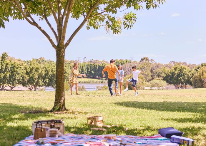 Family enjoying Bicentennial Park at Sydney Olympic Park, Homebush