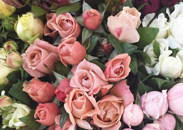 Rose varieties at Sydney Flower Market, Homebush