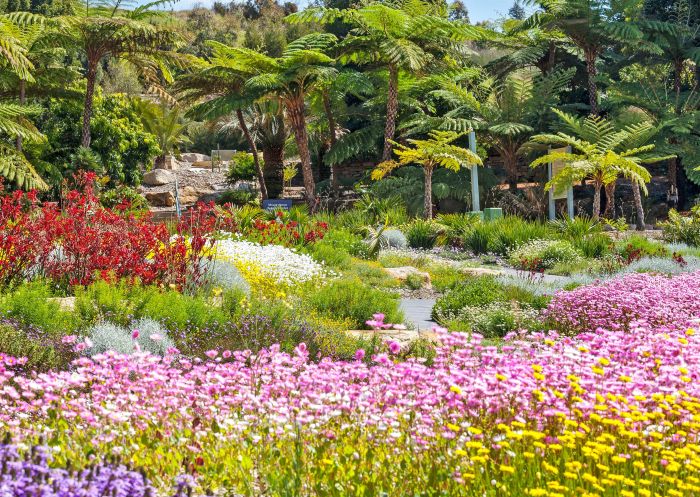 Connections Garden - premier display, The Australian Botanic Garden, Mount Annan