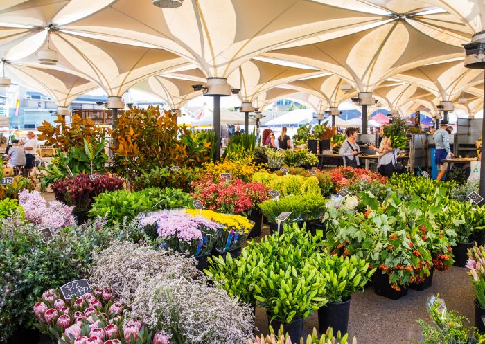 Flower stall at Cambridge Markets EQ, Moore Park