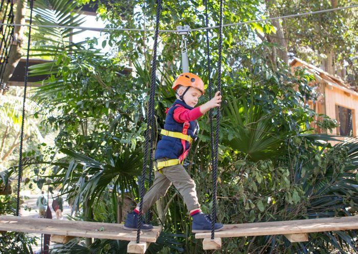 Child enjoying the Wild Ropes at Taronga Zoo Sydney, Mosman - Credit: Marcus Coblyn