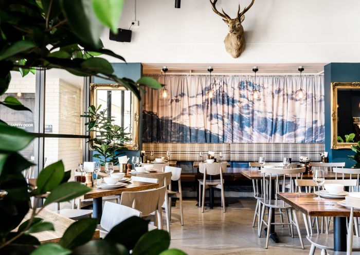 Dining room at Salmon and Bear, Crows Nest