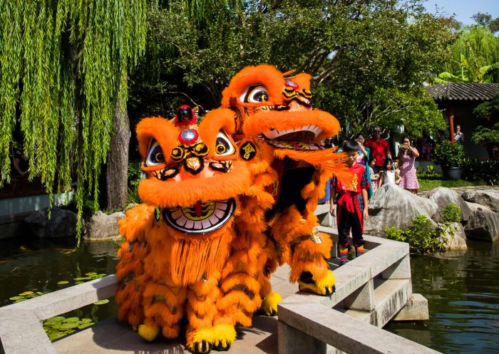 Chinese Gardens, Darling Harbour - Credit: Anna Kucera